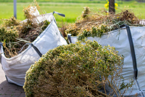 Best Appliance Removal Near Me  in Lauderdale Lakes, FL
